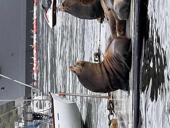 Picture of 2026 Giants at San Diego