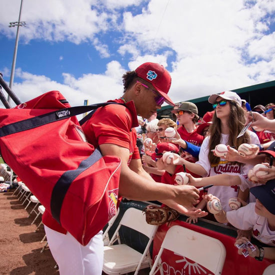 Picture of 2026 Cardinals Flex 1