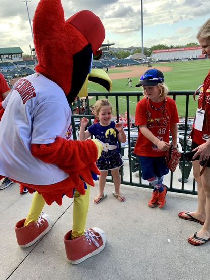 Picture of 2026 Cardinals Flex 2