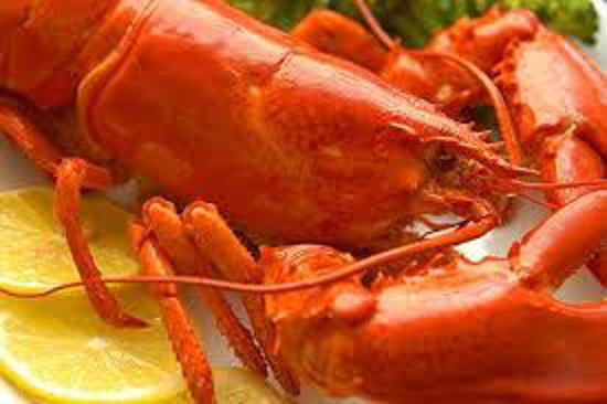 Picture of 2026 Diamondbacks at Boston